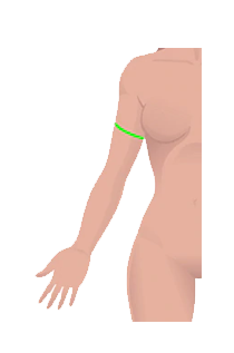 19.png 19.png