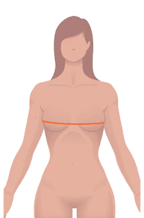 2.png 2.png