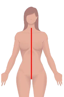5.png 5.png