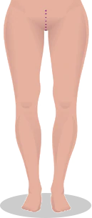 front-img1.png front-img1.png