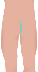 front-img2.png front-img2.png