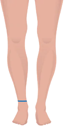front-img6.png front-img6.png