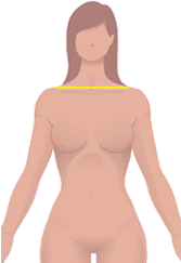 front-sholder-img8.png front-sholder-img8.png