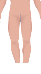 size-rise-img1.png size-rise-img1.png