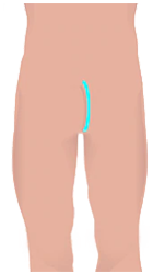 size-rise-img2.png size-rise-img2.png