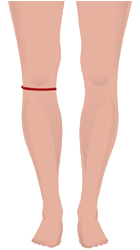 size-rise-img4.png size-rise-img4.png