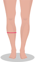 size-rise-img5.png size-rise-img5.png