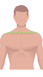 size-rise-img8.png size-rise-img8.png