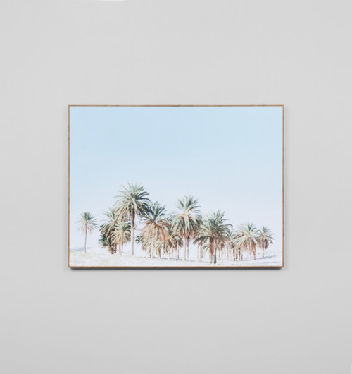 DESERT PALMS