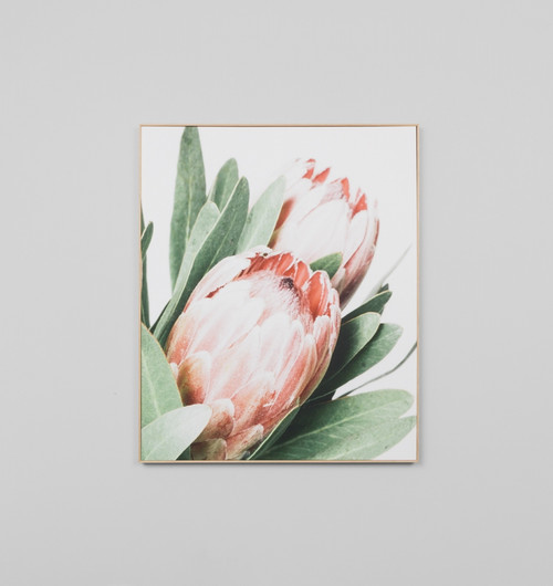 Protea Canvas