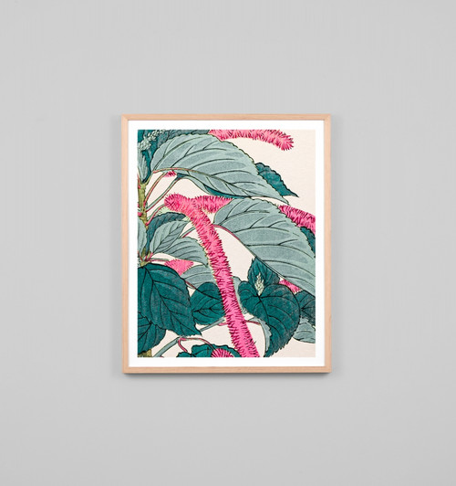 FIRETAIL WOODBLOCK 2