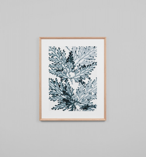 FERN LACE 2 - INDIGO