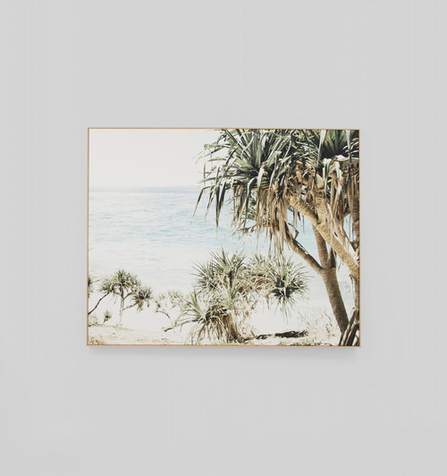 Coastal Palms Landscape Framed Canvas