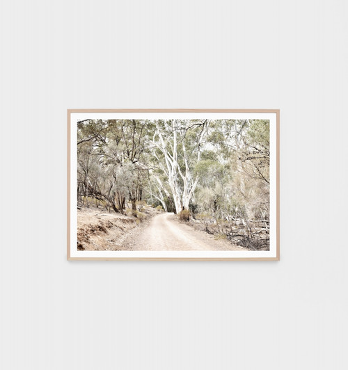 Eucalyptus Track Print