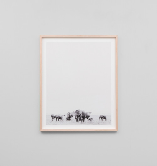 Travelling Herd Grey