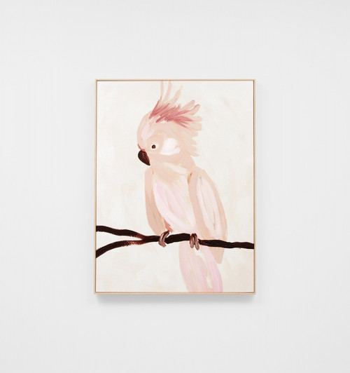Cockatoo Portrait Blush 2 Framed Canvas