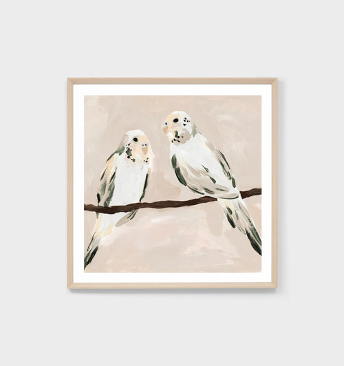Budgerigar Portrait Blush Print