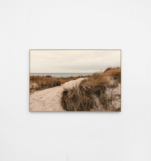 Beach Grass Trail Canvas