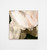 Allegra Blush Square 2 Canvas
