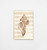 Conch Shell Sand 2 Canvas