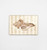 Conch Shell Sand 2 Canvas