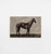 Painted Steed Dark 2 Canvas