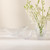 Waterford Celebrations Bowl | 33cm