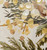 Wattle Bouquet Khaki Framed Canvas