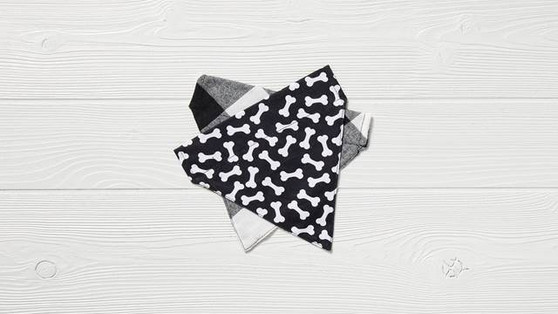 Over-Collar Plaid & Bones Bandana Duo