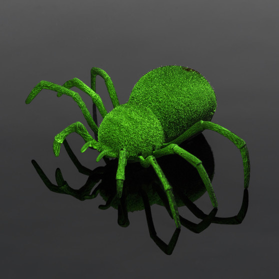 Glow in the Dark Spider