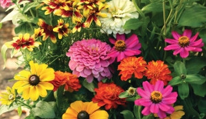 BUTTERFLY GARDEN FLOWER MAT