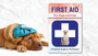 Cat & Dog First Aid Book