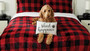 Pet Throw Pillow