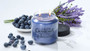 BLUEBERRY & LAVENDER 16OZ JAR CANDLE