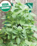 ORGANIC LARGE LEAF BASIL HANGING SEED KIT