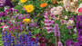 HUMMINGBIRD HAVEN FLOWER GARDEN