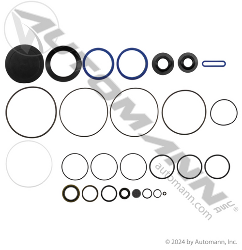 STEERING GEAR INPUT SEAL M100 (TPS8466)