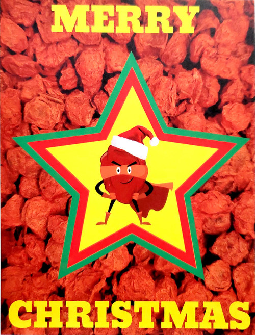 Salty Plum Christmas Card