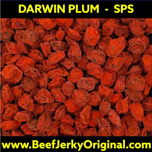 Australia's most Popular red salty plum delivered