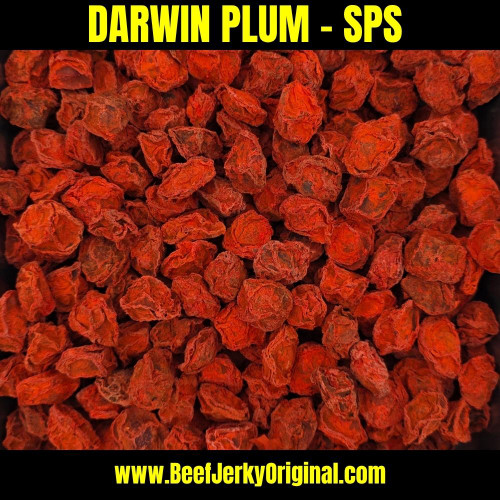 Australia's most Popular red salty plum delivered