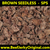 Amazing Brown Seedless 1kg