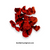 500g Red Seedless Darwin Salty plum