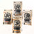 Bogan Biltong Wholesale Pack Bogan Biltong Wholesale Pack