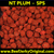 NT Red Salty Plum 500g