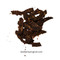 Close-up of Bull Bar Beef Jerky Chilli
