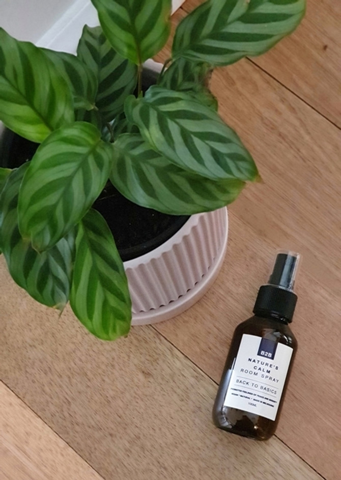 B2B Nature's Calm Room Spray