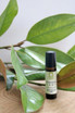 B2B Protect Baby Roller Ball 10ml