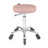 Joiken - Turbo Stool Dusty Pink - Chrome Base - Click'n Clean Castor Wheels
