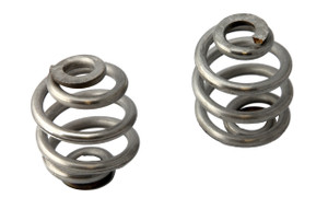 2 inch Stainless Steel Springs