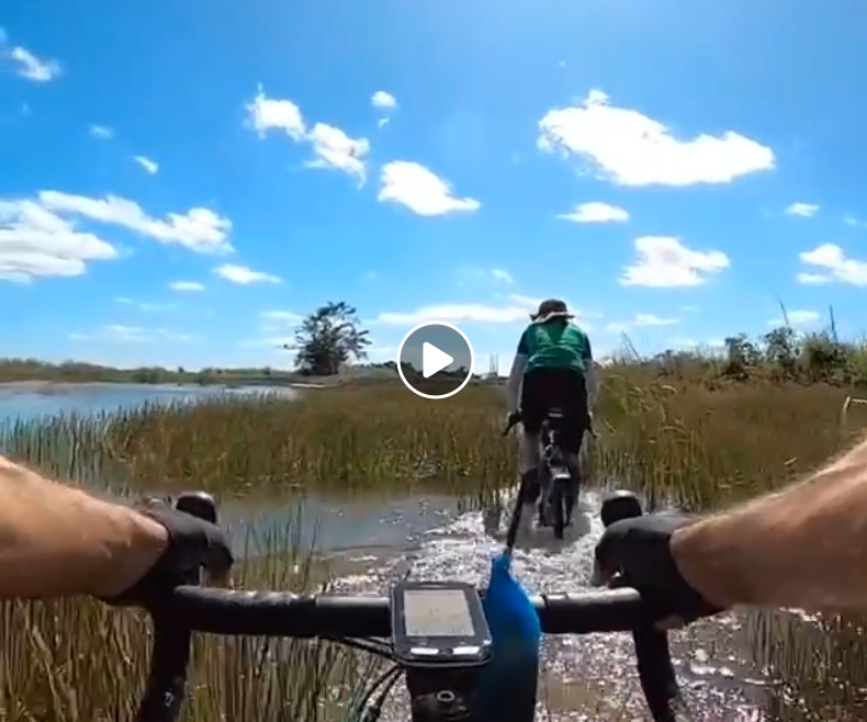 New YT vid EVERGLADES